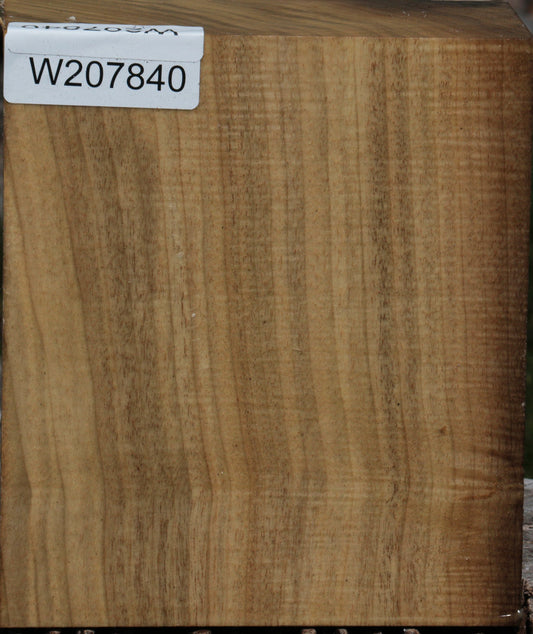 Extra Fancy Myrtle Turning Blank