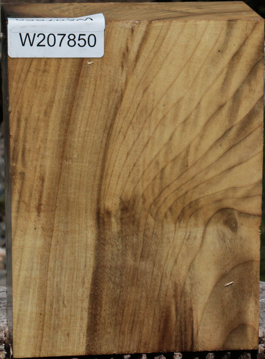 Figured Myrtle Turning Blank