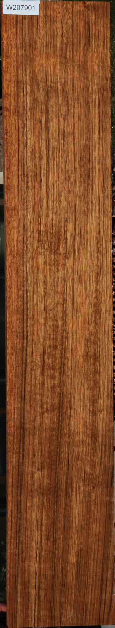 Figured Amazique Lumber