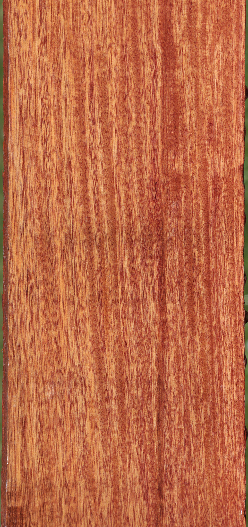 Santos Mahogany Lumber Cook Woods