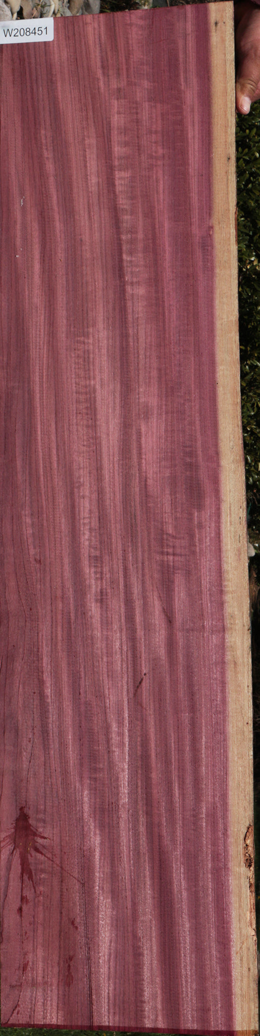 Purpleheart Live Edge Lumber