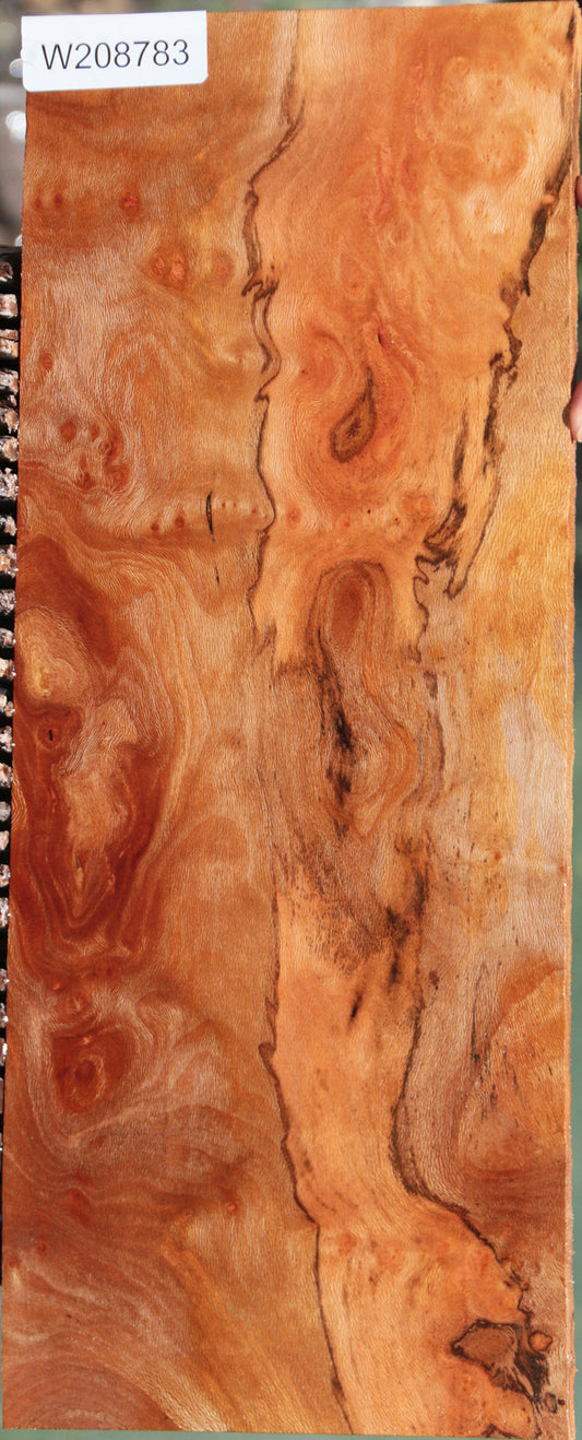 Extra Fancy Spalted Sycamore Burl Lumber