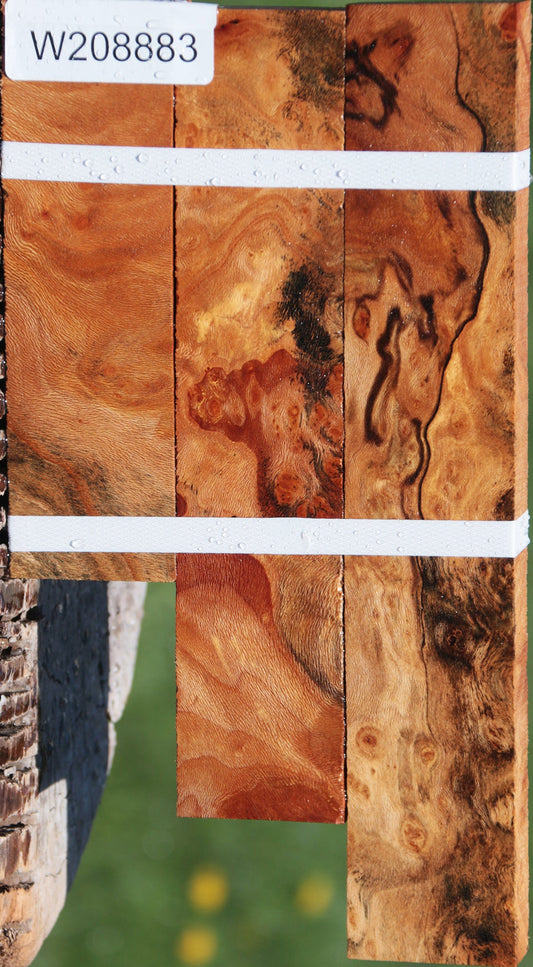 Extra Fancy Sycamore Burl Lumber 3-Pack