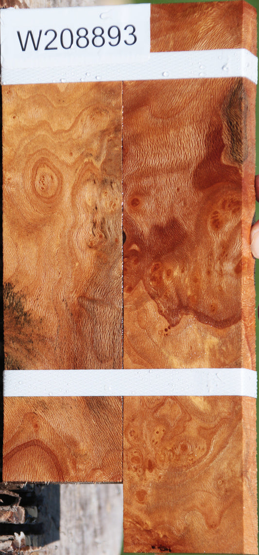 Extra Fancy Sycamore Burl Lumber 2-Pack