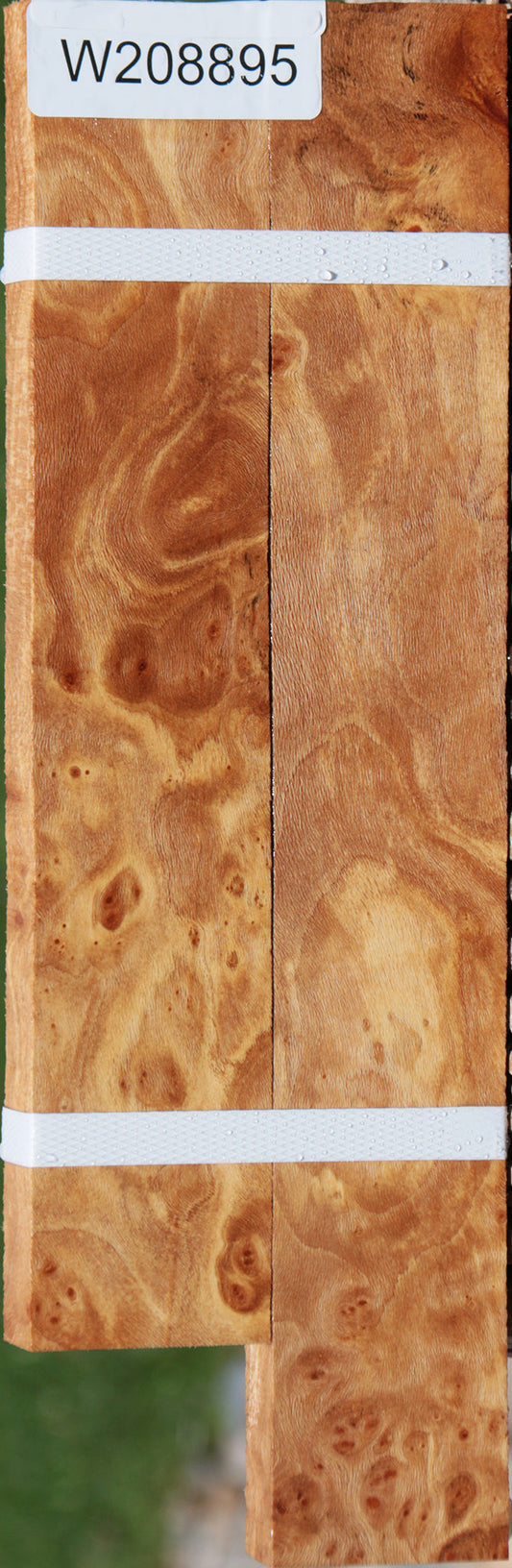 Extra Fancy Sycamore Burl Lumber 2-Pack