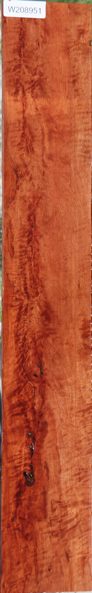 Extra Fancy Rambutan Lumber