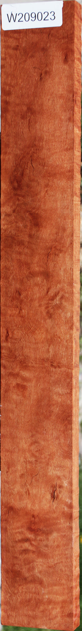 Extra Fancy Rustic Rambutan Lumber