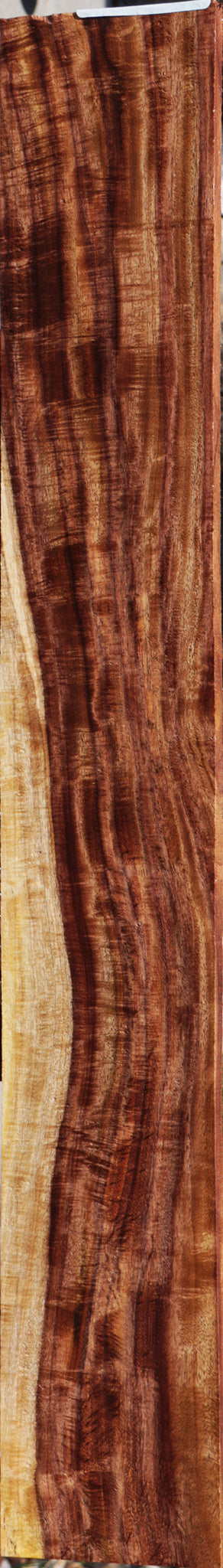Exhibition East Indian Rosewood Micro Lumber