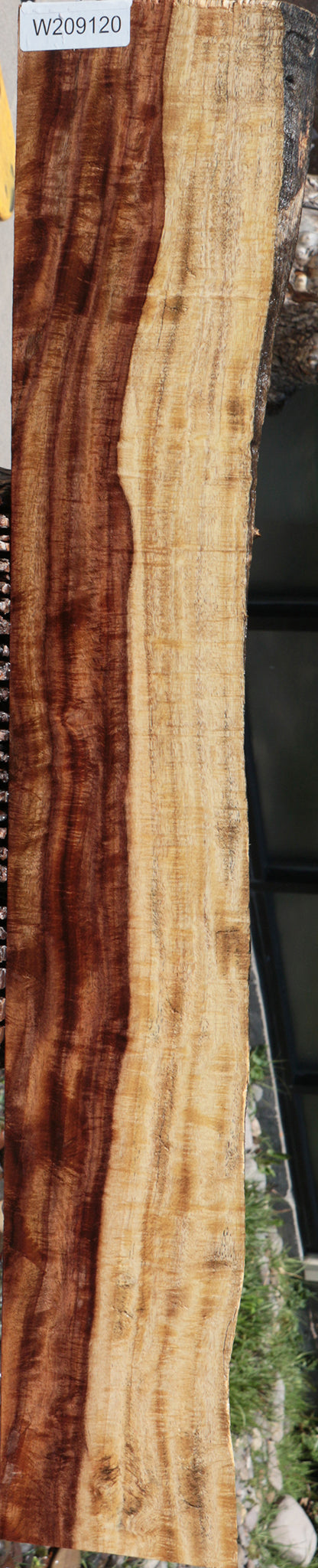Extra Fancy East Indian Rosewood Live Edge Lumber