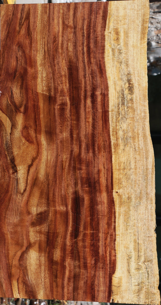 East Indian Rosewood Live Edge Lumber