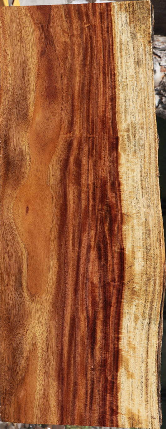 Extra Fancy East Indian Rosewood Live Edge Lumber