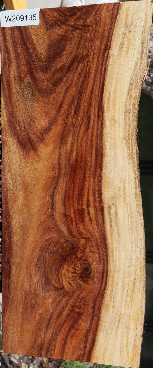 East Indian Rosewood Live Edge Lumber