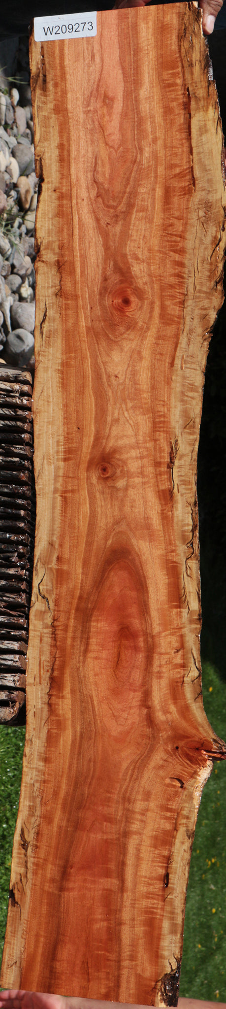 Rustic Pink Ivory Live Edge Lumber