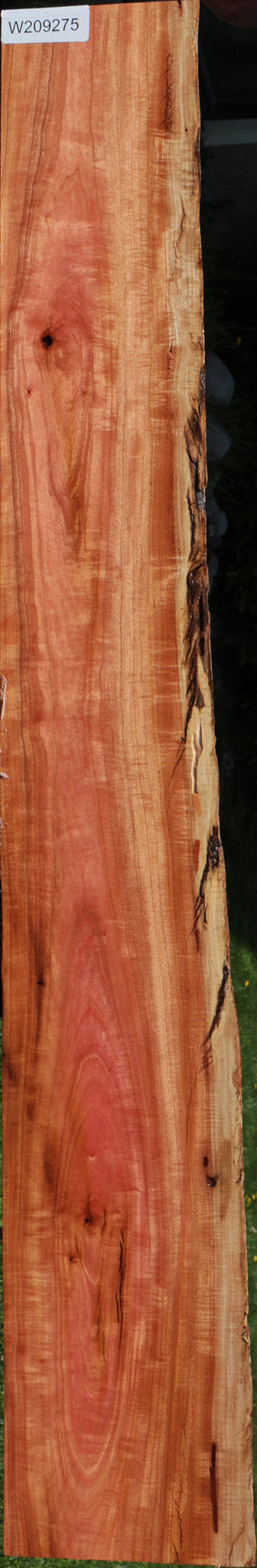 Rustic Pink Ivory Live Edge Lumber