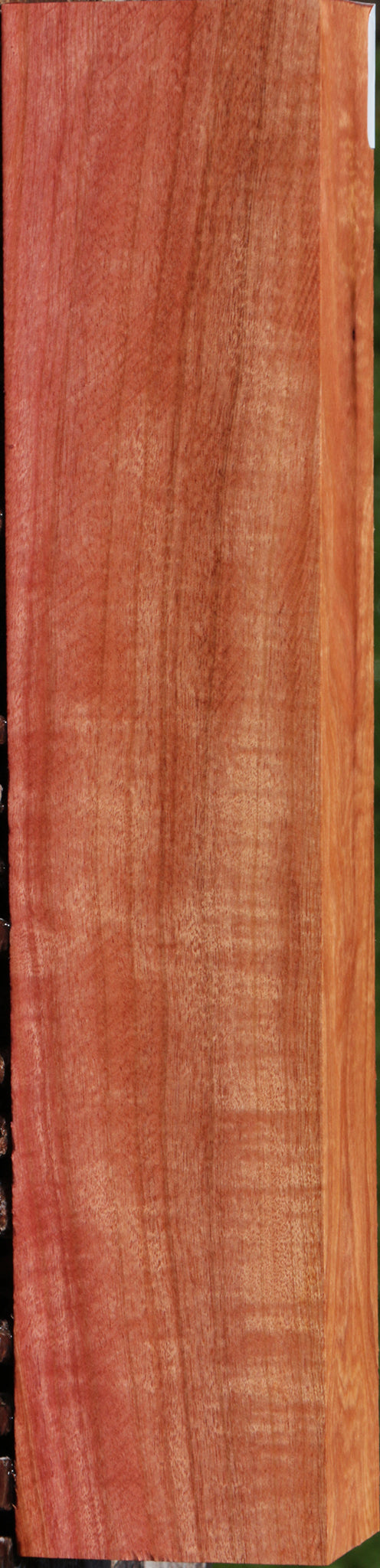 Extra Fancy Pink Ivory Lumber