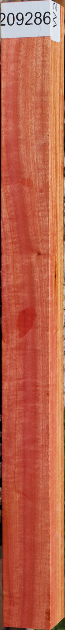 Extra Fancy Pink Ivory Turning Square