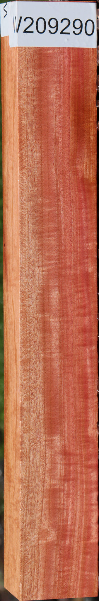 Extra Fancy Pink Ivory Lumber