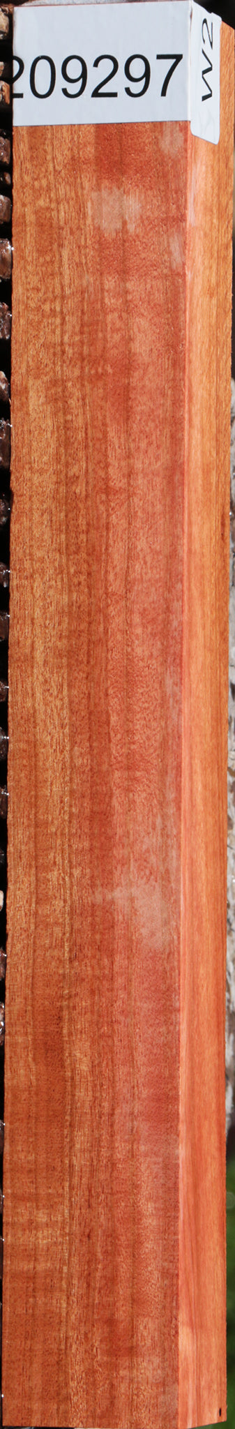 Extra Fancy Pink Ivory Turning Square