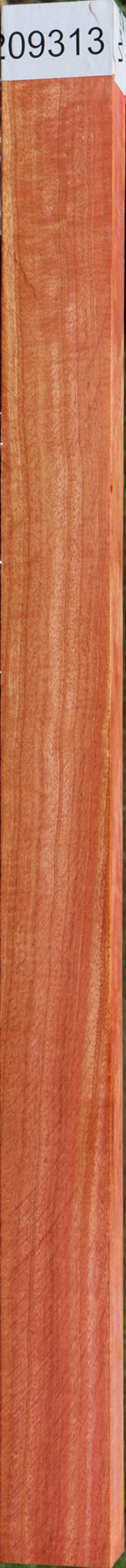 Figured Pink Ivory Lumber