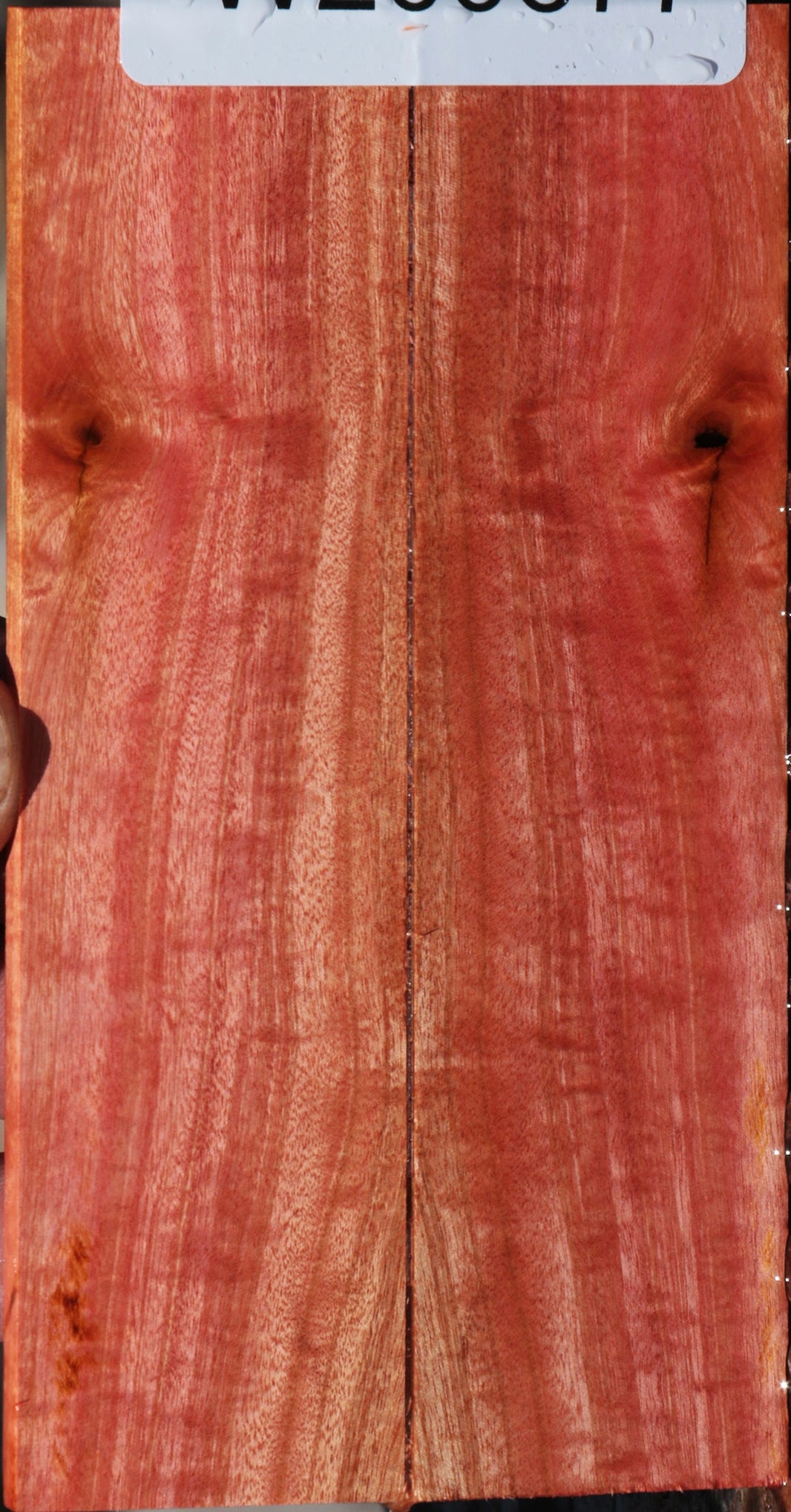 pale ivory digital pink