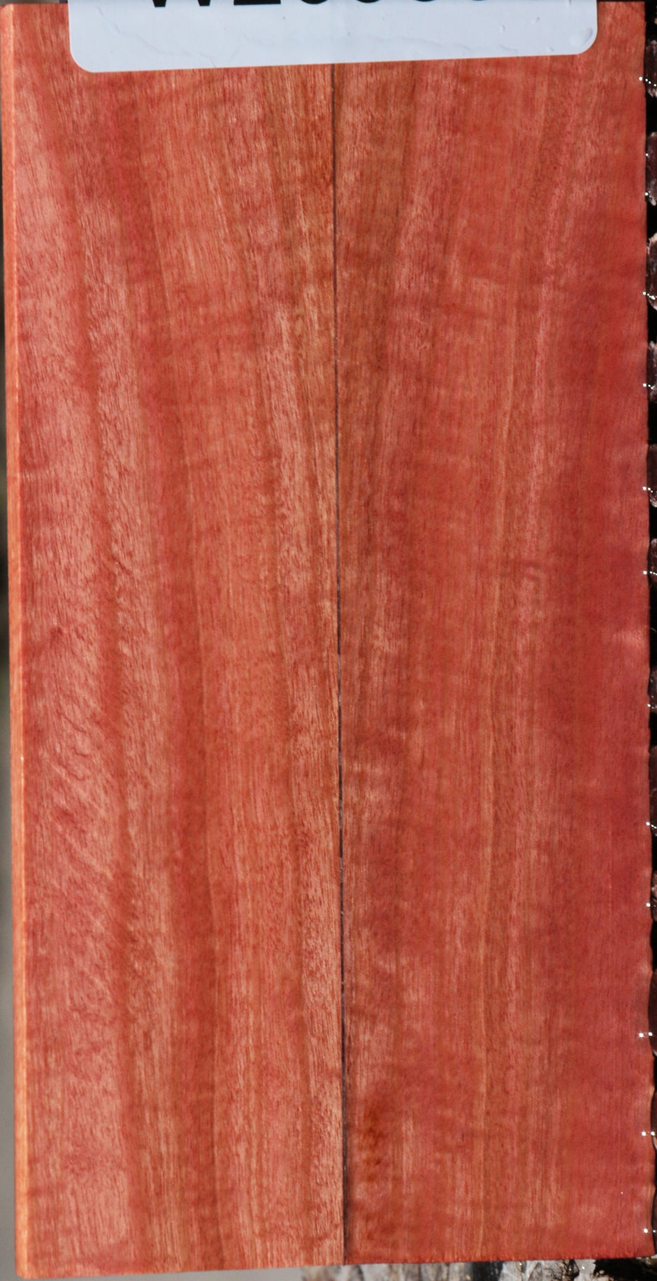 pale ivory digital pink