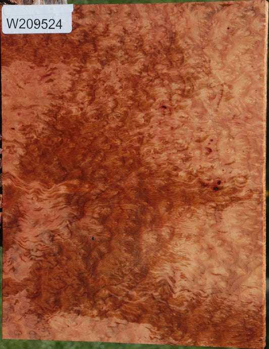 Madrone Burl Lumber
