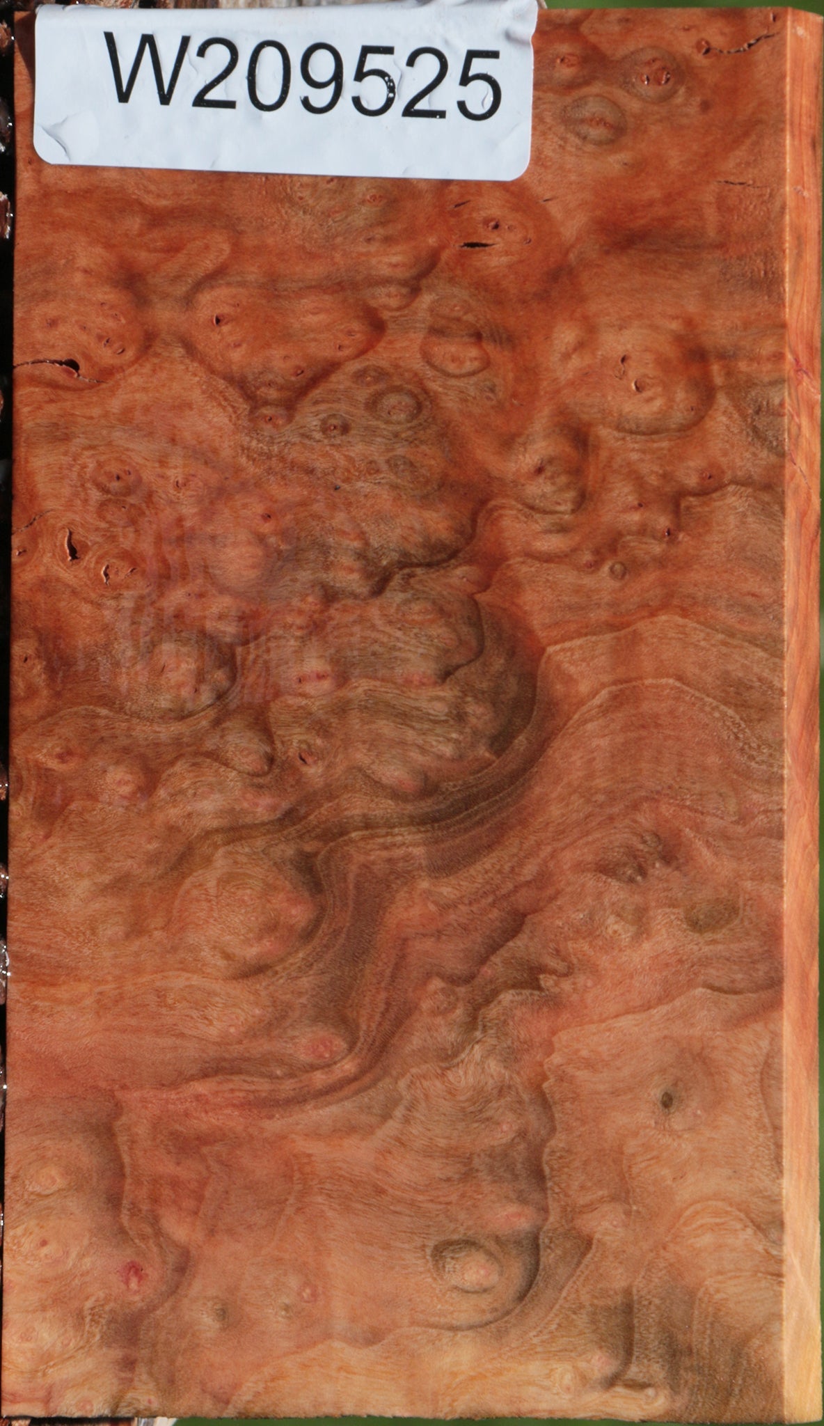 Madrone Burl Lumber