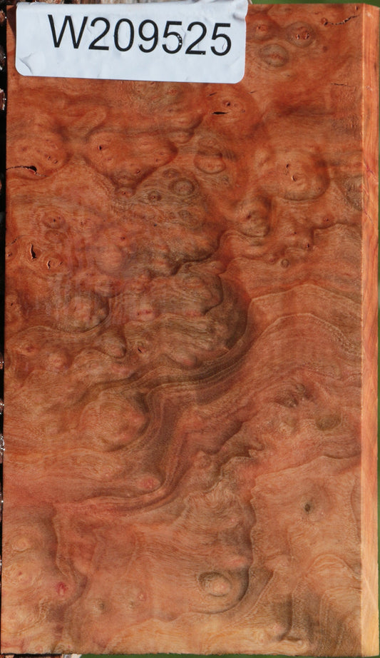 Madrone Burl Lumber