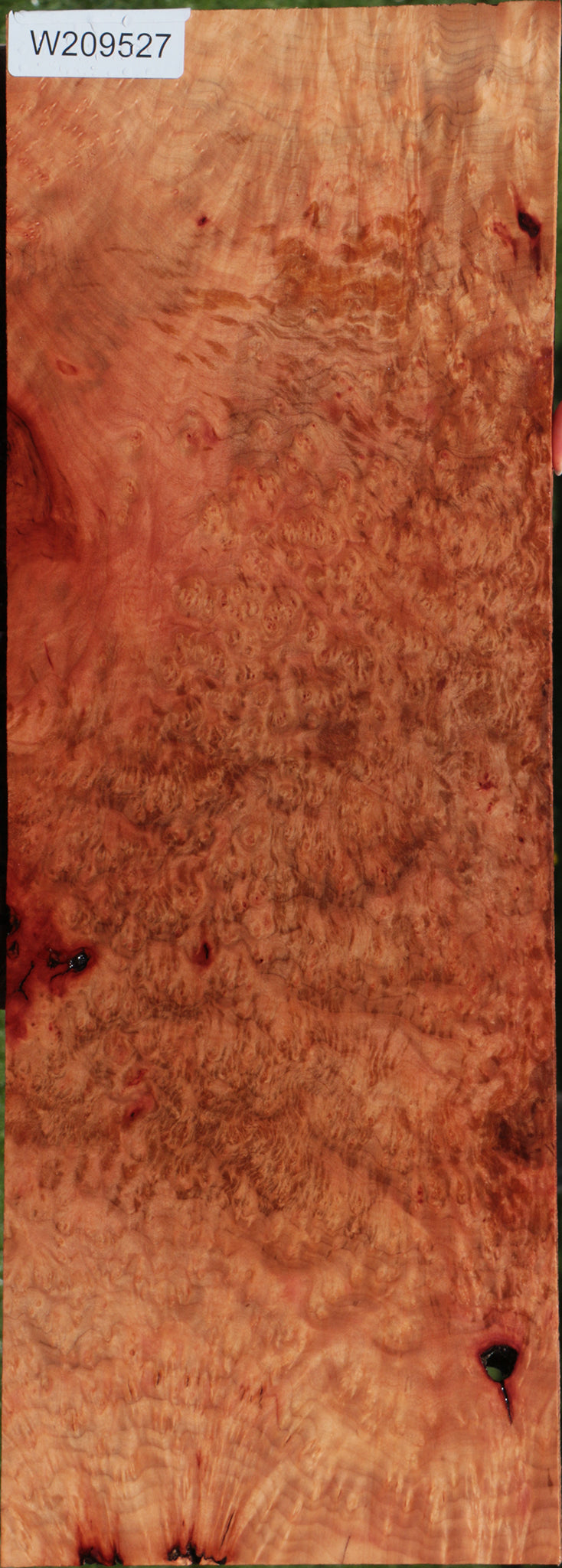 Extra Fancy Madrone Burl Lumber