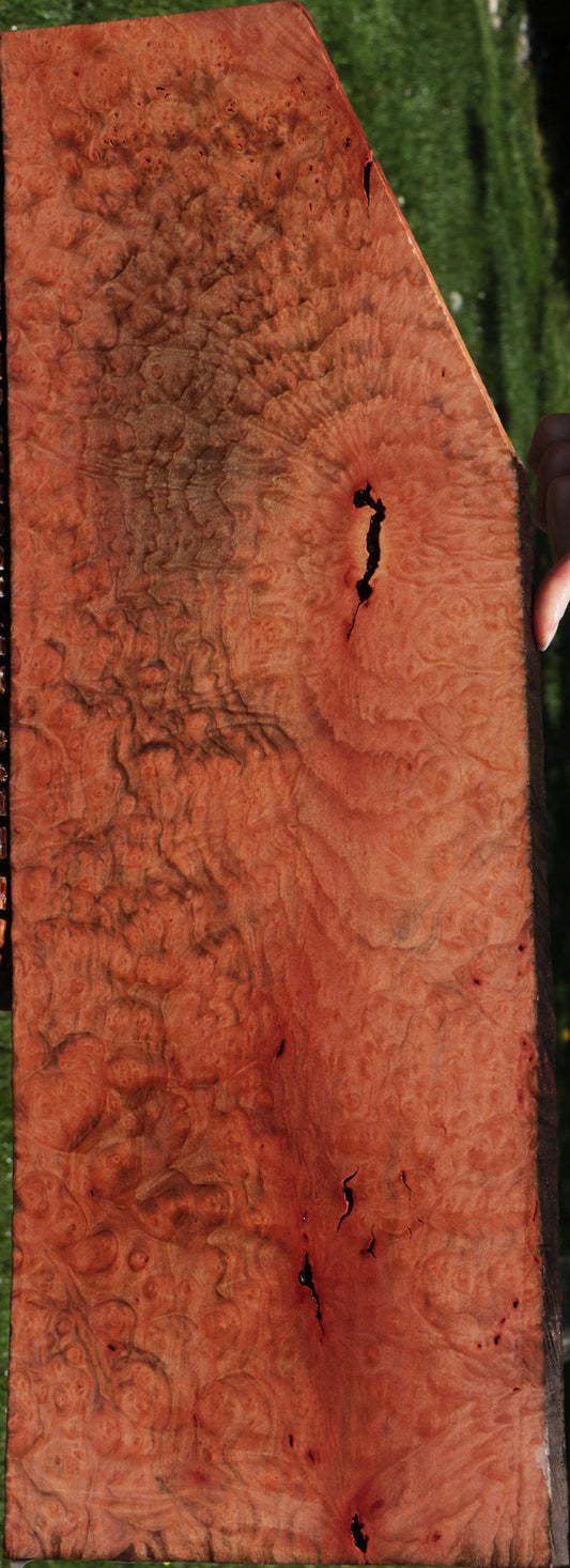 Extra Fancy Madrone Burl Lumber