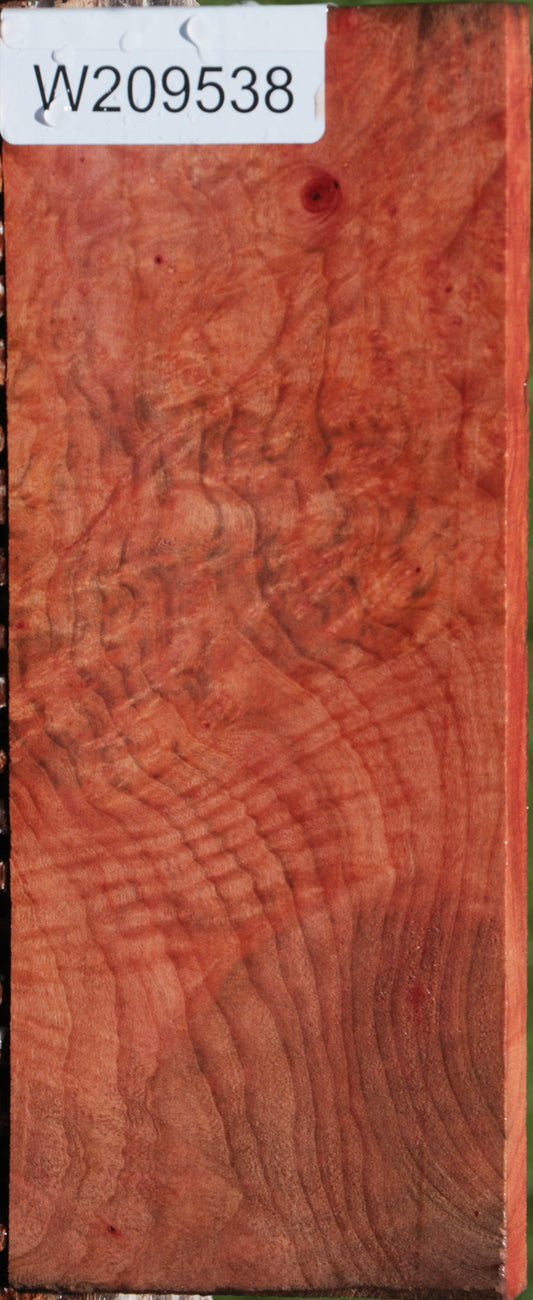Extra Fancy Madrone Burl Lumber