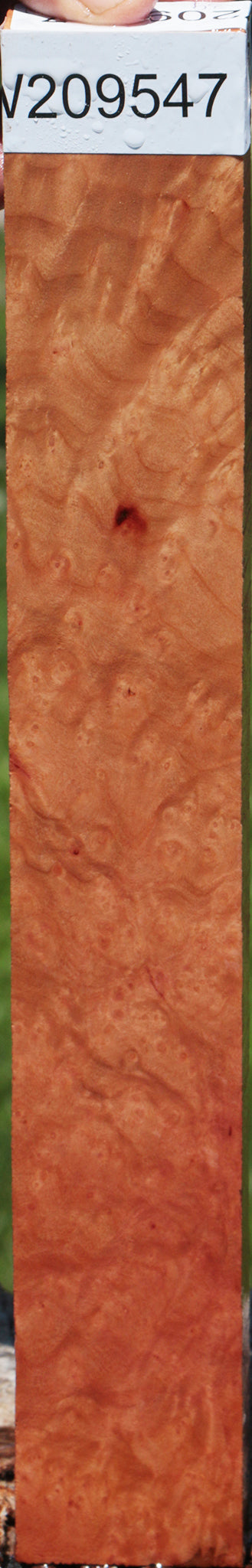 Madrone Burl Lumber