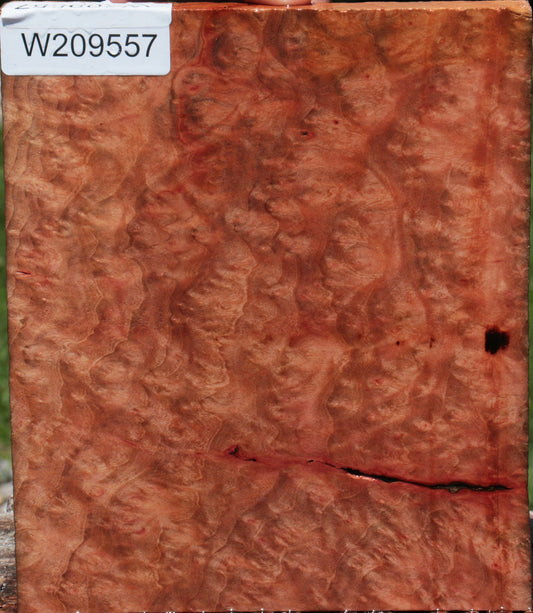 Extra Fancy Madrone Burl Lumber