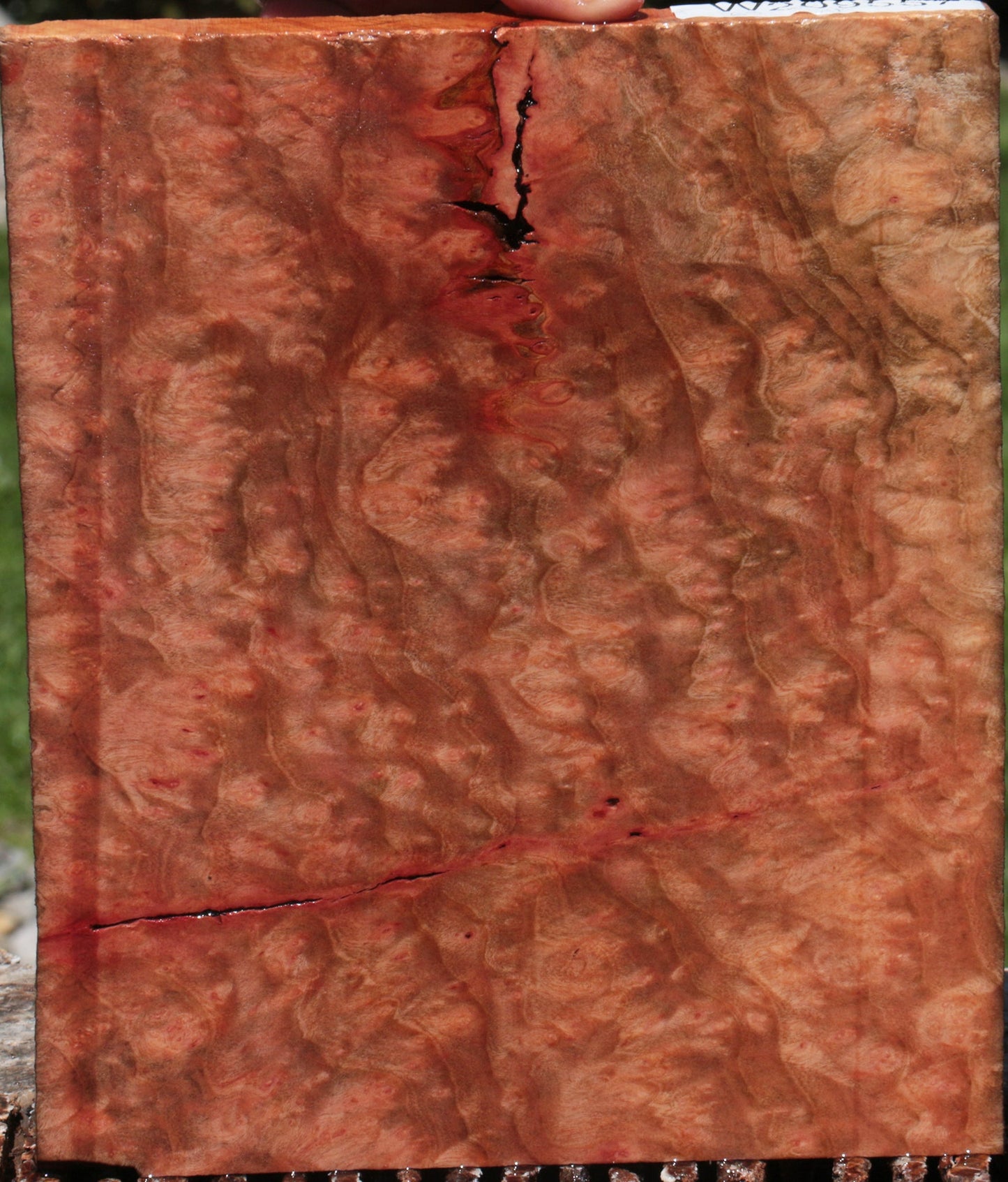 Extra Fancy Madrone Burl Lumber