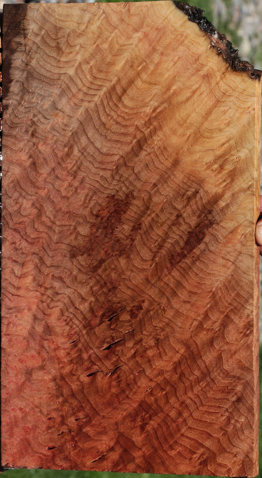 Madrone Burl Lumber