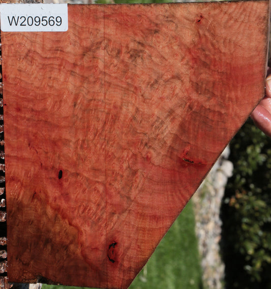 Extra Fancy Madrone Burl Lumber