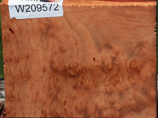 Madrone Burl Lumber