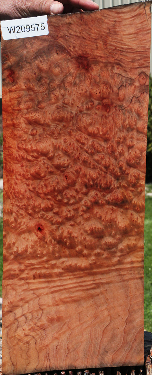 Madrone Burl Instrument Billet