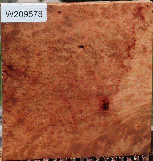 Rustic Madrone Burl Lumber