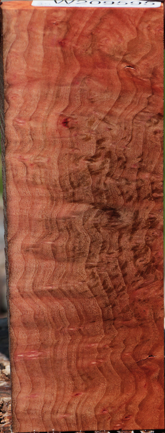 Extra Fancy Madrone Burl Lumber
