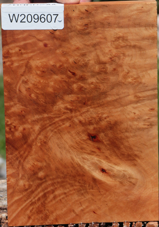 Extra Fancy Madrone Burl Lumber