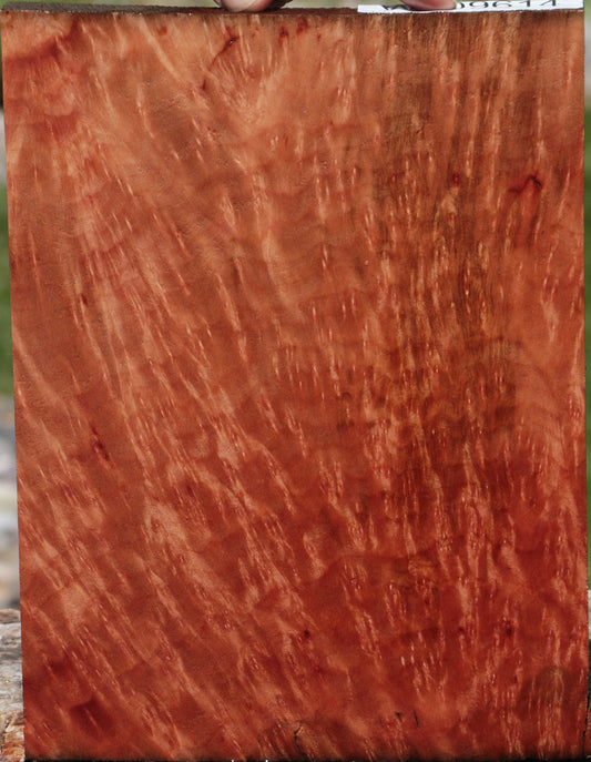 Exhibition Madrone Burl Lumber