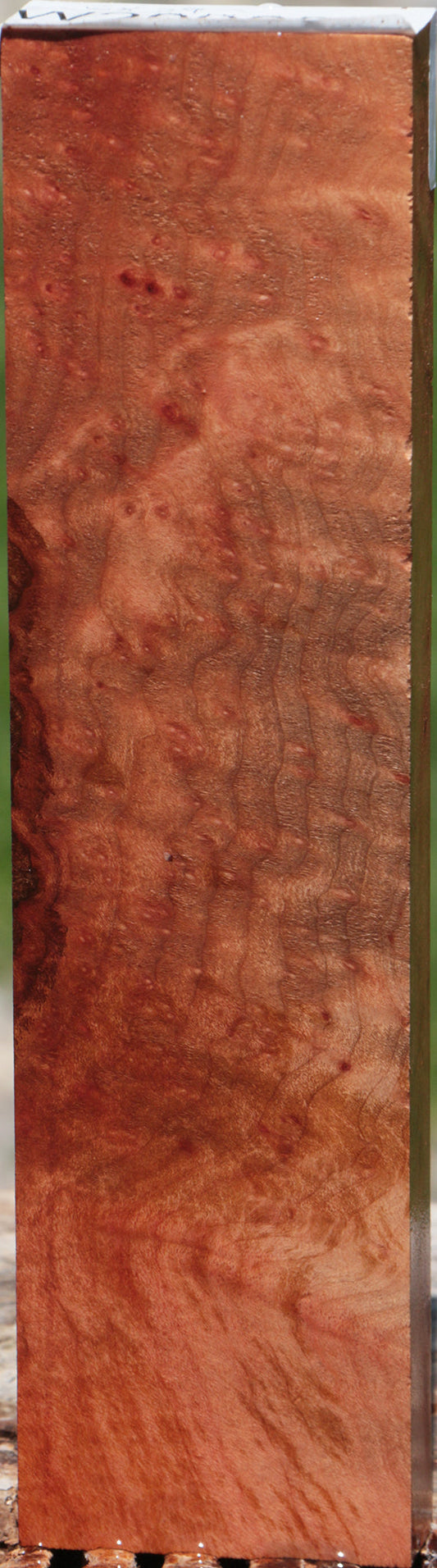 Exhibition Madrone Burl Lumber