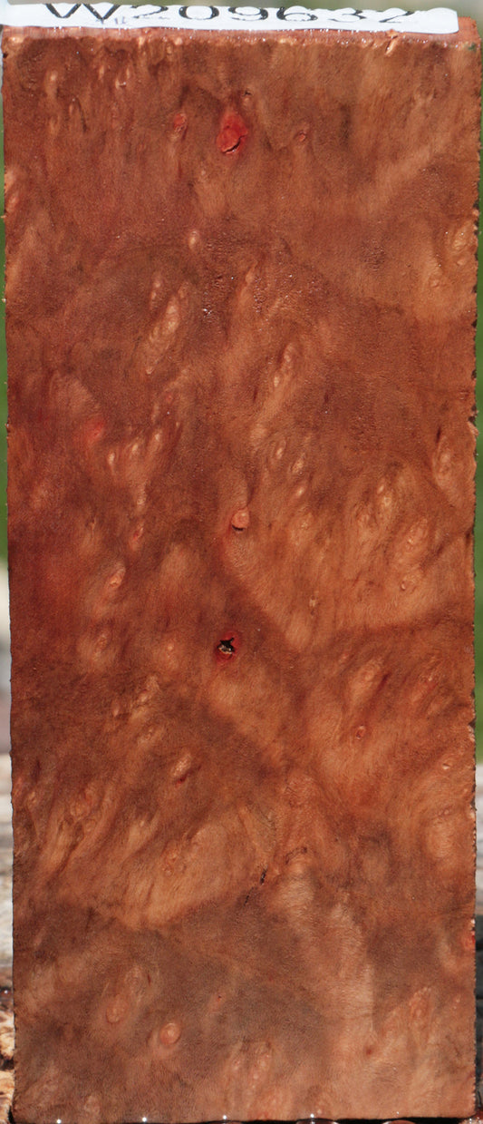 Madrone Burl Lumber