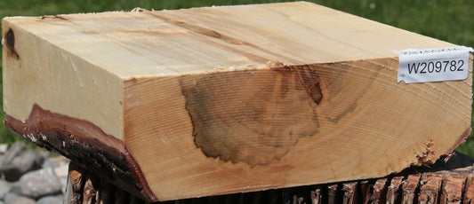 Figured Silver Maple Bowl Blank