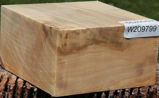 Figured Silver Maple Bowl Blank