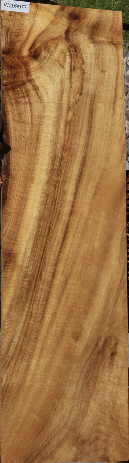 Extra Fancy Myrtle Lumber