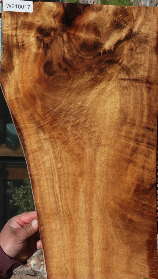 Extra Fancy Myrtle Lumber