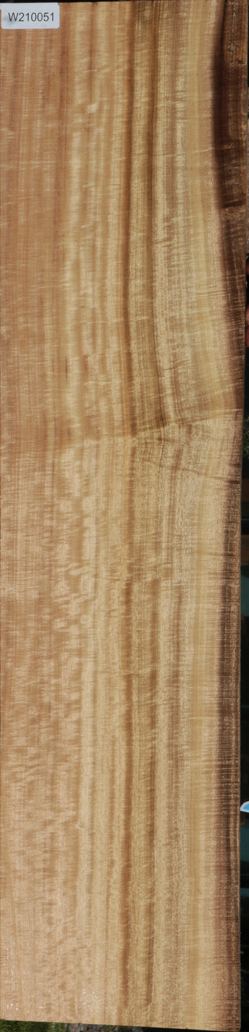 Exhibition Myrtle Lumber