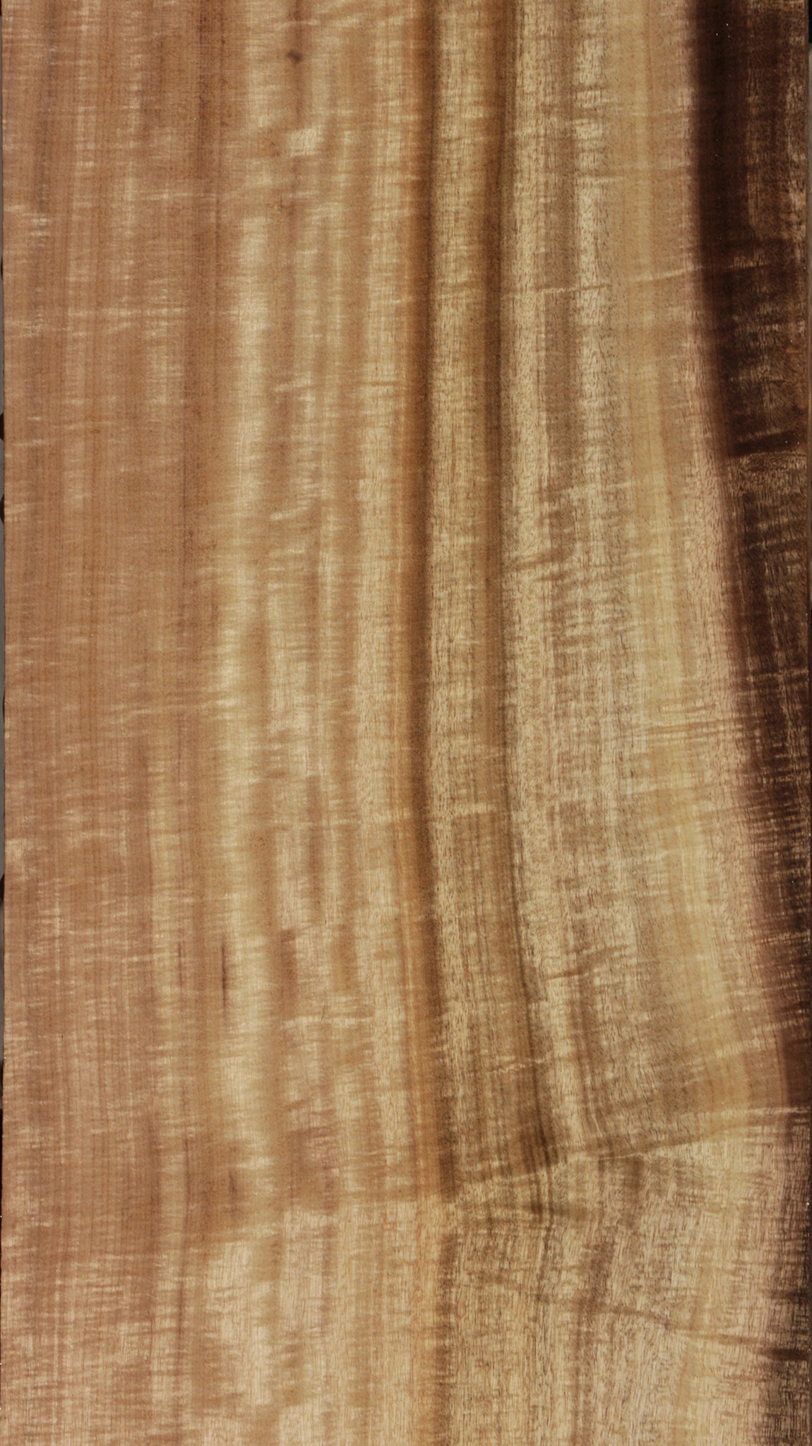 Exhibition Myrtle Lumber